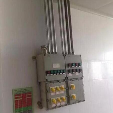 水產飼料生產線防爆配電箱項目