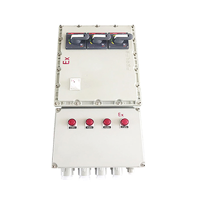 BXD51防爆動力配電箱 BXD51防爆動力配電箱