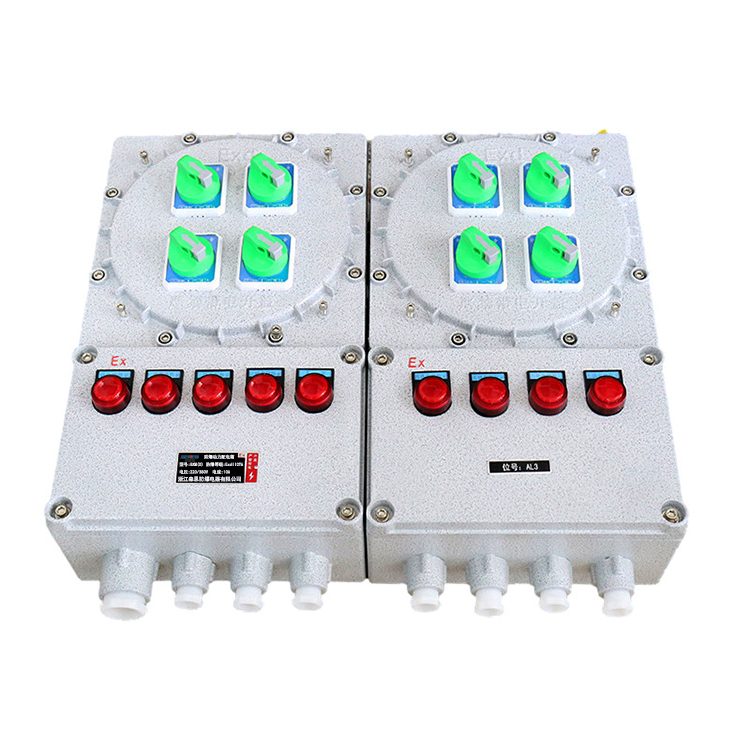 IIC防爆動(dòng)力控制配電箱BXK IIC防爆動(dòng)力控制配電箱BXK